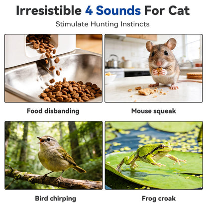 Interactive Cat Toy for Indoor Cats. Chosen for real quality, fits naturally into modern pet homes.