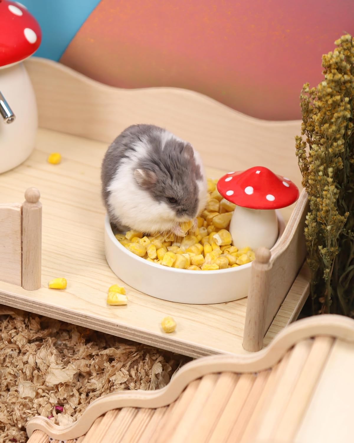 Niteangel Hamster Snack & Treats Toy - Small Animal Natural Treat for Dwarf Syrian Robo Hamsters Gerbils Mice Lemmings Degus or Other Small-Sized Pets