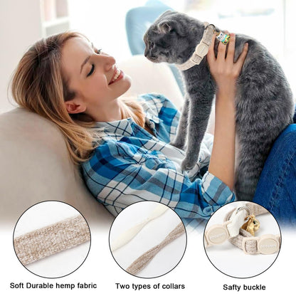 Cat Collar. Chosen for real quality, fits naturally into modern pet homes.