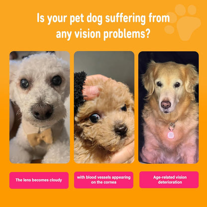 Eye Supplements for Dogs - Vision Support Soft Chews with Lutein, DHA & Vitamin C | 120ct Salmon Flavor Tear Stain Chews | Cataract & Dry Eye Relief Supplement (120 Ct, Salmon)