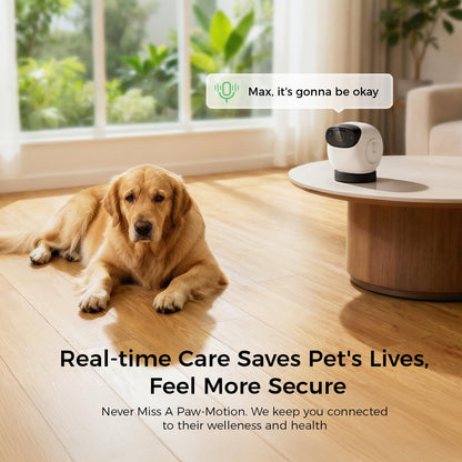 2026 3K Pet Camera Treat Dispenser. Chosen for real quality, fits naturally into modern pet homes.
