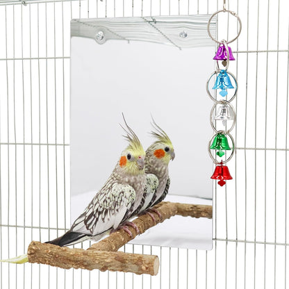 Oooct Large Bird Mirror Toy with Perch Stand, Parrot Parakeet Mirror with Bird Swing Bell Toys, Bird Cage Accessories, Suitable for Parakeet Cockatiel Conure Lovebirds - 11.8 × 7.9 Inch