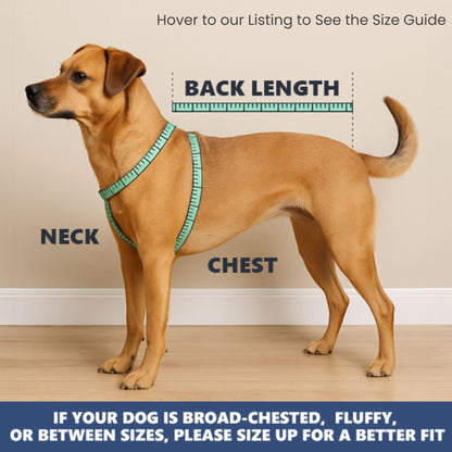 Spark Paws Dog Cooling Vest. Chosen for real quality, fits naturally into modern pet homes.