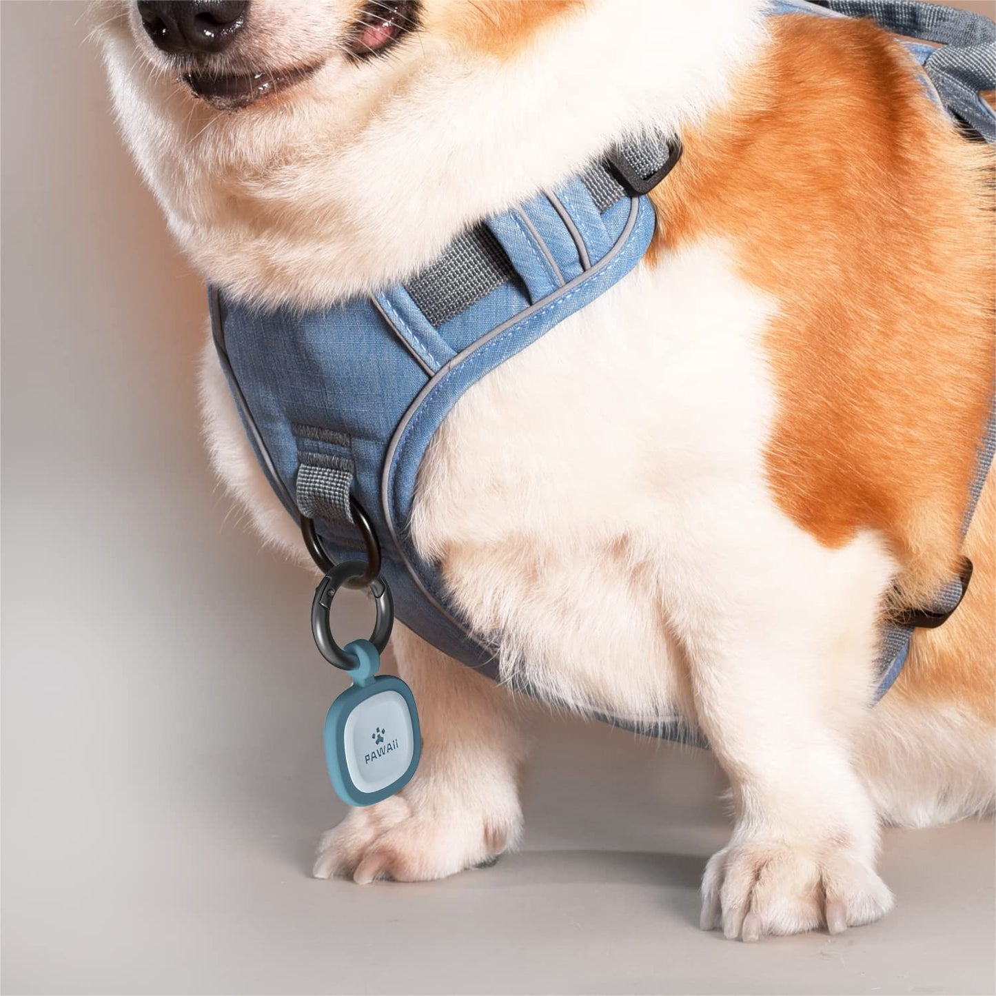 Pawaii Dog ID Tag. Chosen for real quality, fits naturally into modern pet homes.