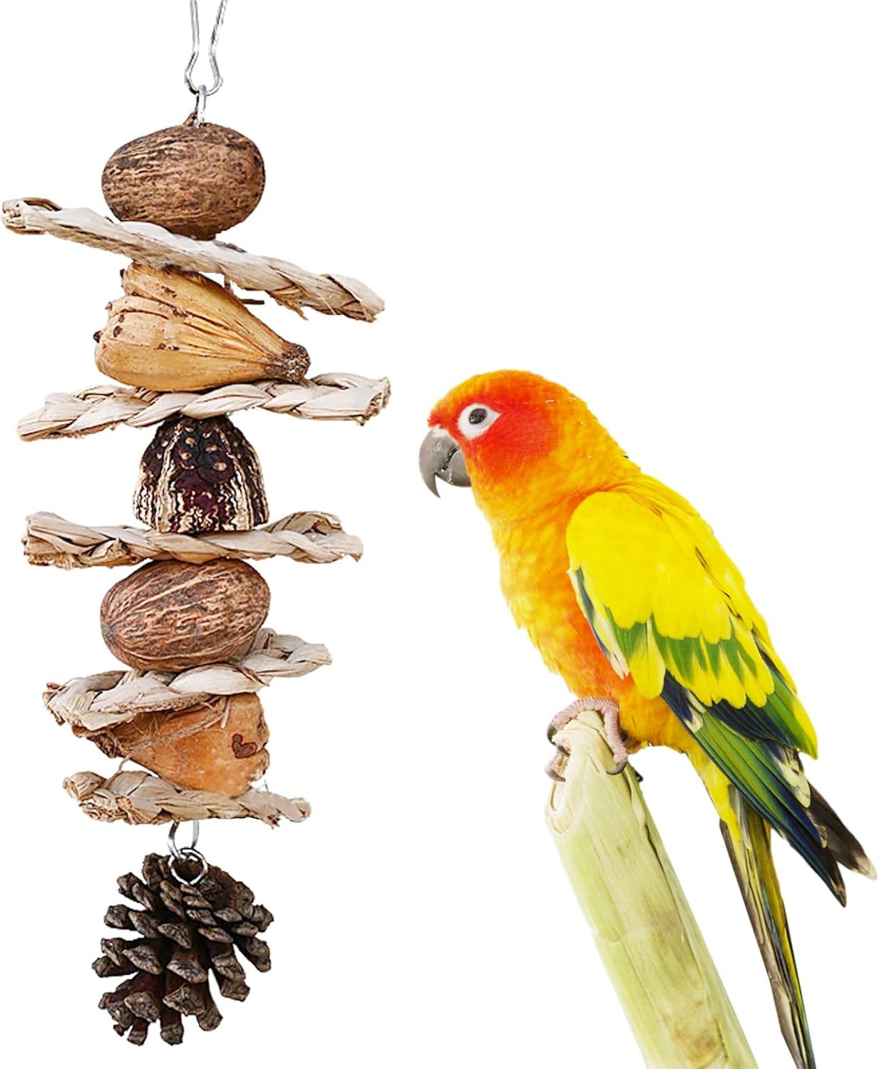 Bird Toys ：Straw-Woven Parrot Toys,Parakeet Chewing Hanging Toy Bird Cage Accessories，Suitable Parrots Budgies Cockatiels Lovebird Monk Parakeet Amazon Parrot Sun Conure