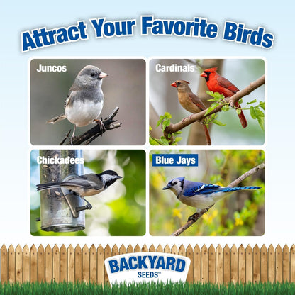 CountryMax Backyard Seeds 1984 Heritage Mix – Premium Bird Seed Blend with Black Oil Sunflower, White Millet & Cracked Corn – Wild Bird Food for Cardinals, Finches, Chickadees & More (40 Pounds)