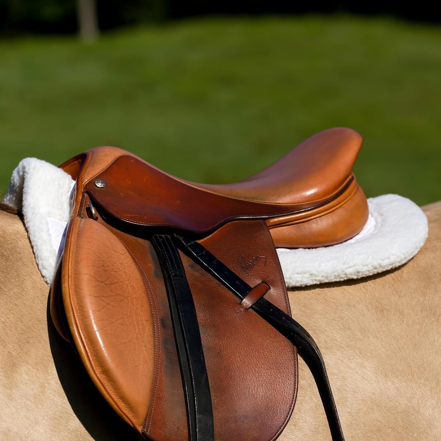 HORZE Fur Half Pad | Durable, Breathable, Non-Slip Correction Saddle Pad