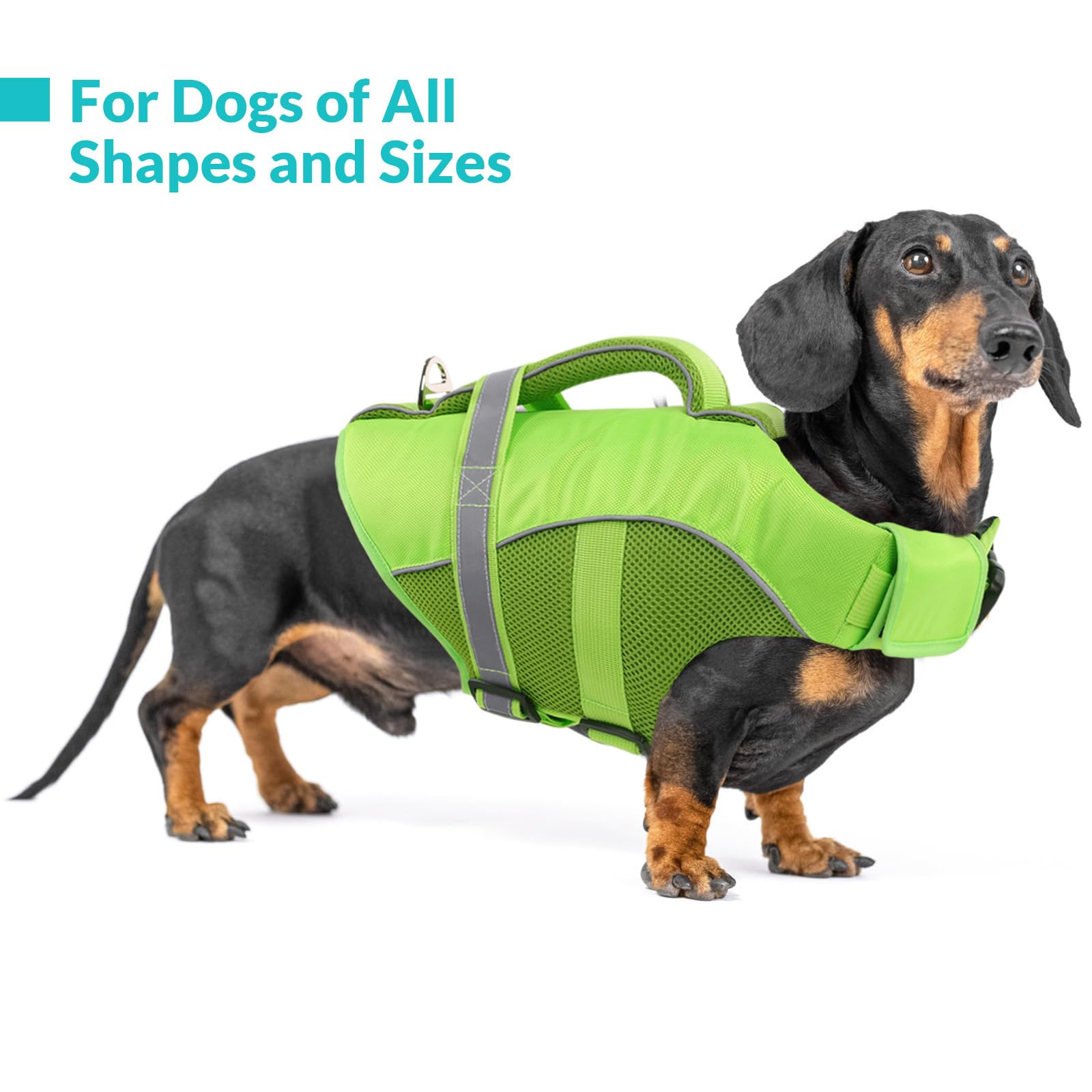 Queenmore Adjustable Ripstop Dog Life Vest for. Chosen for real quality, fits naturally into modern