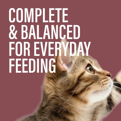 Chewer's Joy Wet Cat Food Variety Pack – 3 Flavors: Tuna & Salmon, Tuna & Chicken, Tuna & Turkey – Natural Pâté – High Protein – Grain Free – Complete & Balanced Nutrition – 24 Cans (3 oz)