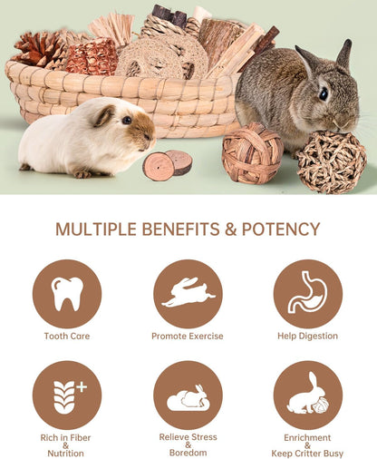 31PCS Rabbit Chew Treat Toys for Teeth Health, Natural Bunny Enrichment Toys for Boredom & Stress Relief, Keep Busy Toys for Guinea Pig Chinchilla Hamster Rat Gerbil Degu Indoor Outdoor