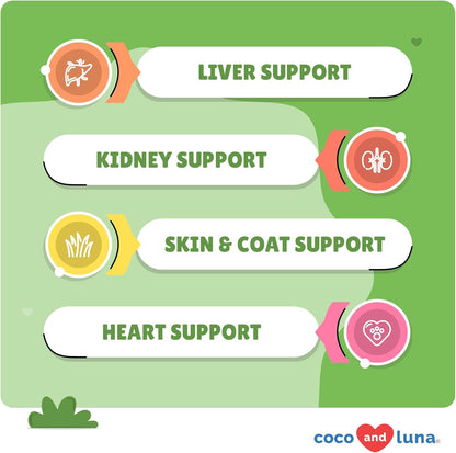 Milk Thistle for Dogs - 120 Chewable Tablets - Silymarin - Liver and Kidney Support with EPA & DHA - Detox - Liver Supplement for Dogs with Choline and L-Arginine