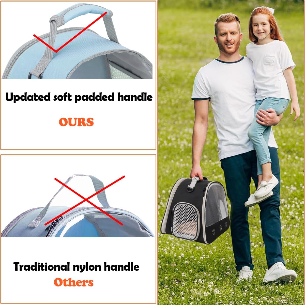 Bearded Dragon & Lizard Carrier - Portable Travel Carrier for Hedgehog, Rat, Parrot, Bird & Guinea Pig (Blue, 2)