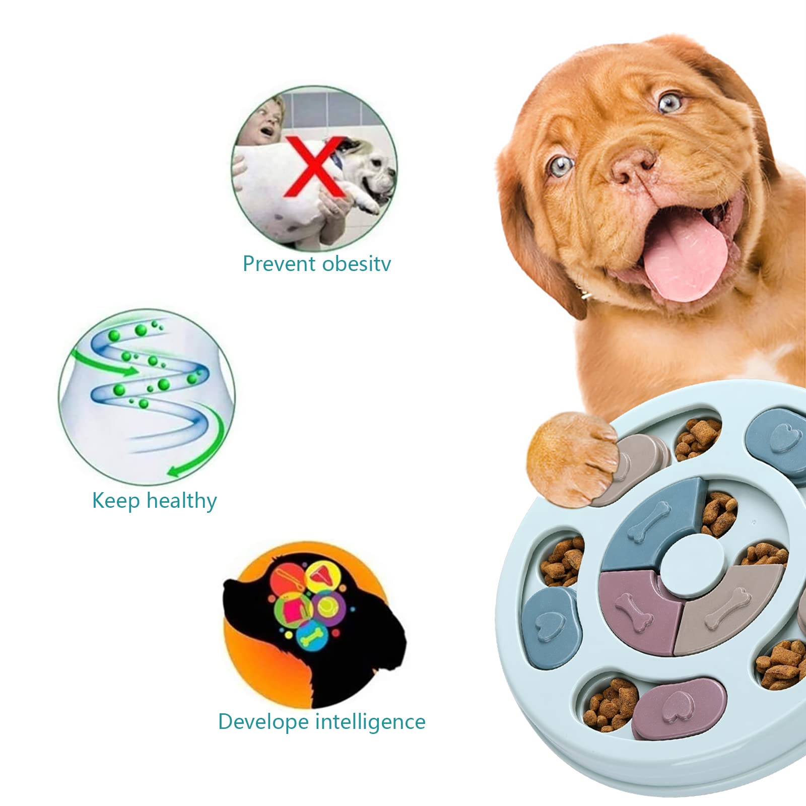 DR CATCH Dog Puzzle. Chosen for real quality, fits naturally into modern pet homes.