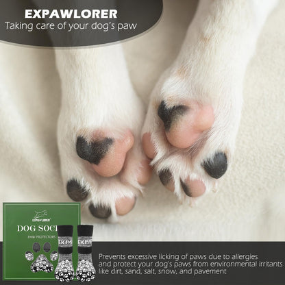 EXPAWLORER 6Pcs Anti. Chosen for real quality, fits naturally into modern pet homes.