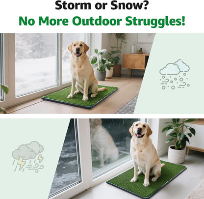 Dog Grass pad with Tray,29”x 18” Indoor Dog Potty with 2 Packs Replacement Artificial Fake Grass-5 Packs Disposable Puppy Pads,for Puppy Training Apartment,Apartment Use