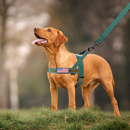 Annchwool No Pull Dog Harness with Soft Padded Handle. Chosen for real quality, fits naturally into