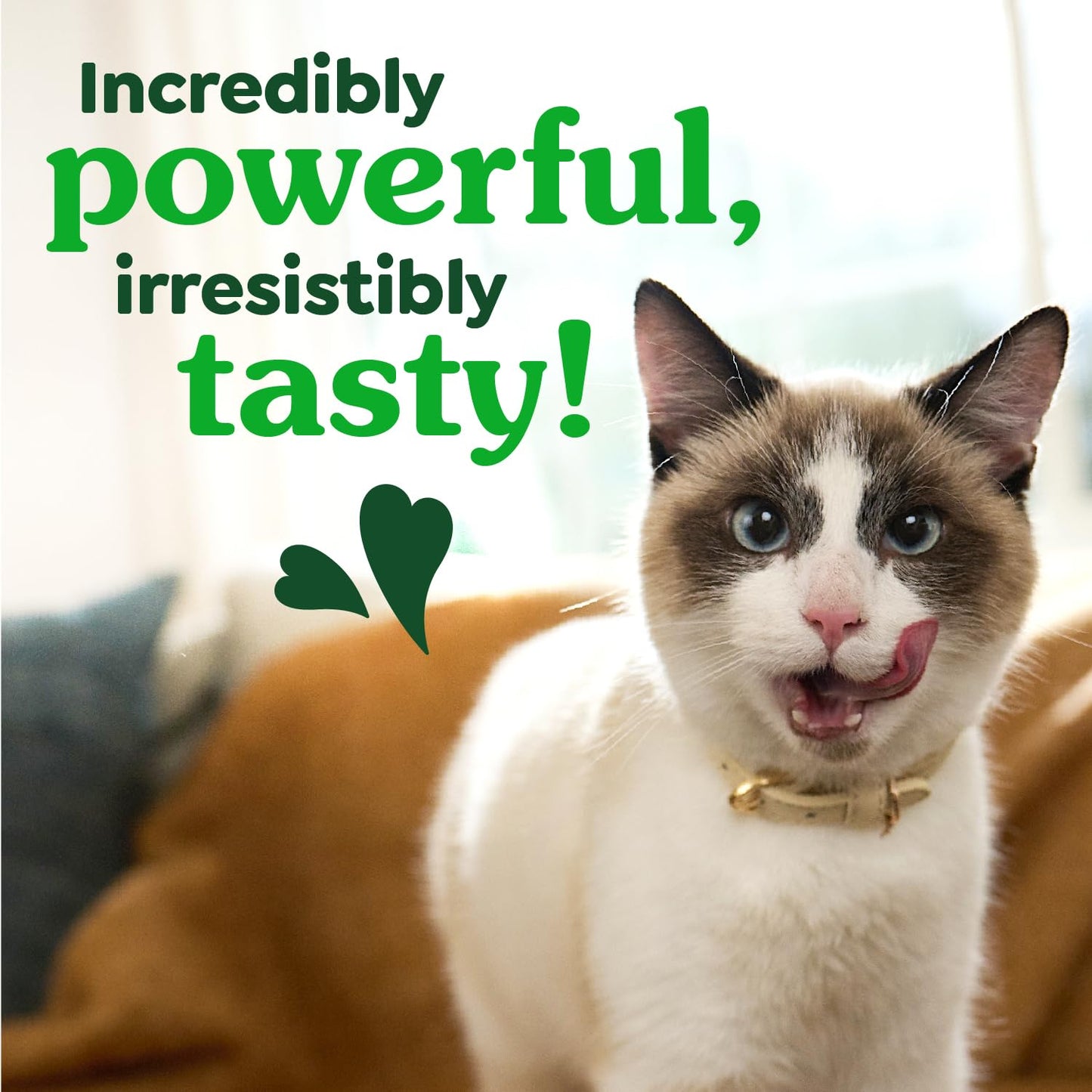 Greenies Feline Natural Dental Cat Treats. Chosen for real quality, fits naturally into modern pet
