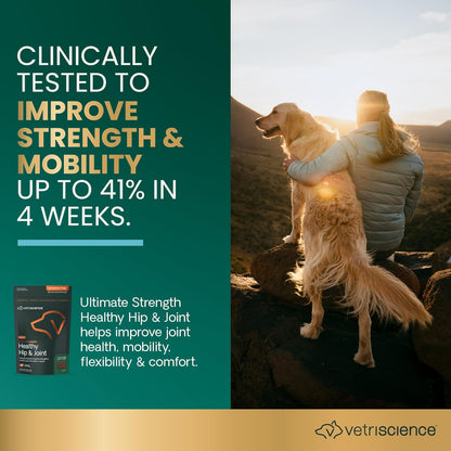 VetriScience Ultimate Strength Healthy Hip & Joint Chews, GlycoFlex Glucosamine, Chondroitin and Green-Lipped Mussel Joint Support Supplement for Dogs, Soothe Joint Discomfort, Duck, 120 Count