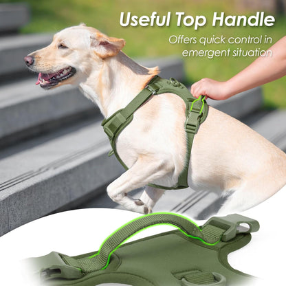 No Pull Dog Harness, Puppy Vest with Front Clip for Small Medium Large Sized Dog (Misty Green,M)
