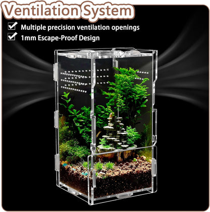 8x4x4in Vertical Acrylic Jumping Spider Enclosure – Arboreal Tarantula & Reptile Terrarium for Sling Lizards, Geckos, Snails