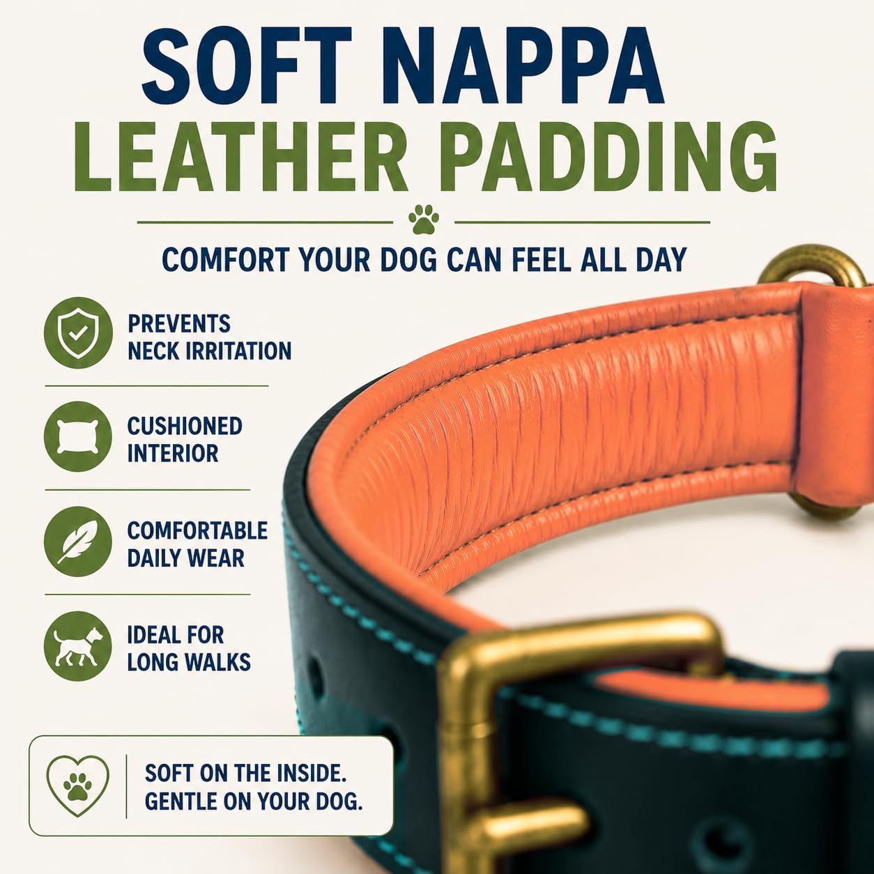 DowgClub Genuine Leather Dog Collar. Chosen for real quality, fits naturally into modern pet homes.