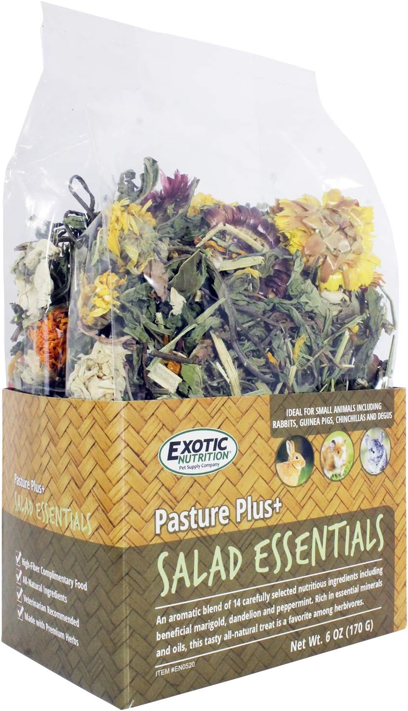 Pasture Plus+ Salad Essentials - Healthy Natural High-Fiber Dried Flower & Herb Treat - Squirrels, Guinea Pigs, Rabbits, Chinchillas, Prairie Dogs, Degus, Hamsters, Gerbils & Other Small Pets