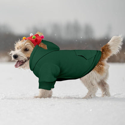 Dog Sweaters for Small Dogs Dog Hoodie Pet Sweater Solid Soft Brushed Fleece Pet Clothes Hoodie Sweatshirt with Pocket(Green-S)