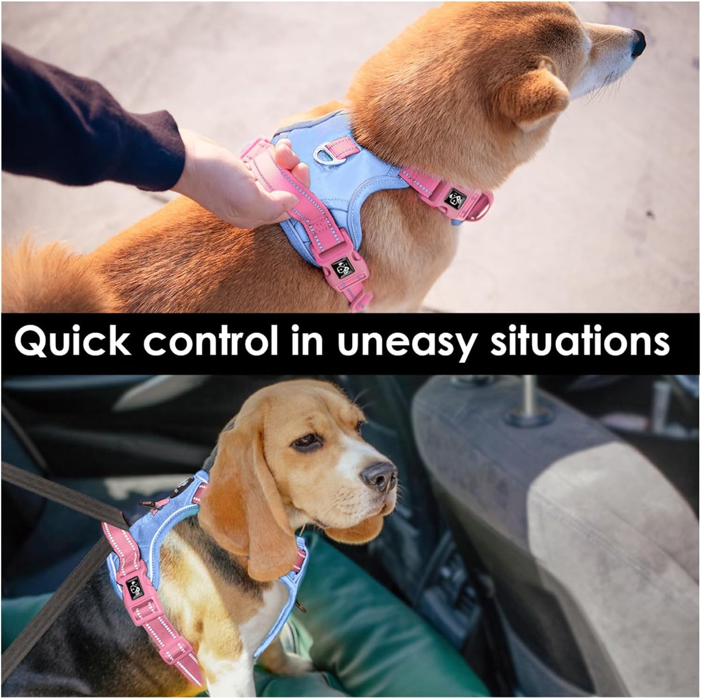 PHOEPET No Pull Dog Harness, Unique Colors Reflective Adjustable Dog Vest, with Soft Training Handle Metal Clips for Small Medium Large Dogs (Baby Blue Base & Pink Straps,M)