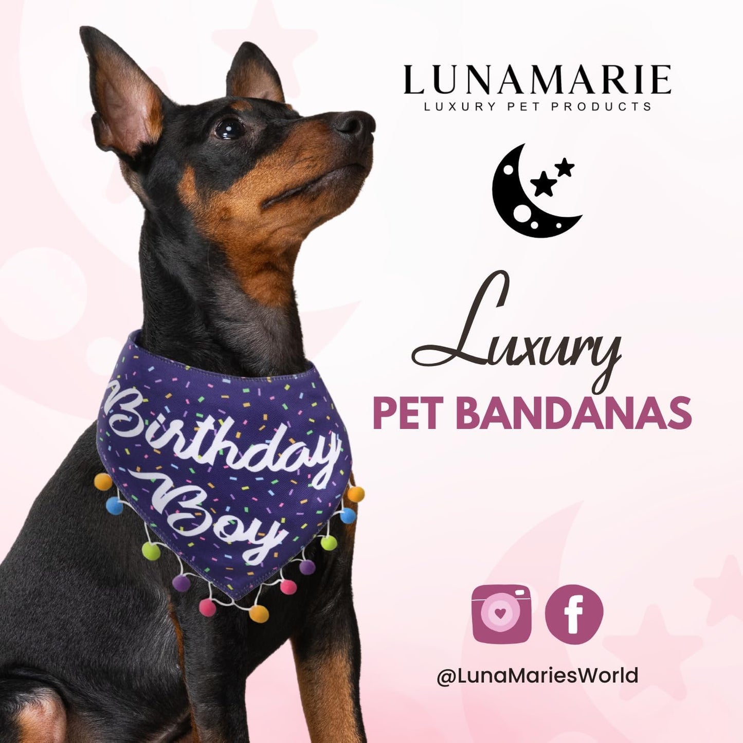 LunaMarie - Luxury Pet Birthday Bandanas -Premium & Silky Poly Fabric | 100% Handmade | Custom Shape Dual Layered (Birthday Boy, Large)