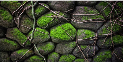 AWERT 30x18 inches Stone Aquarium Background Rock Fish Tank Background Rocky Terrarium Background Vinyl