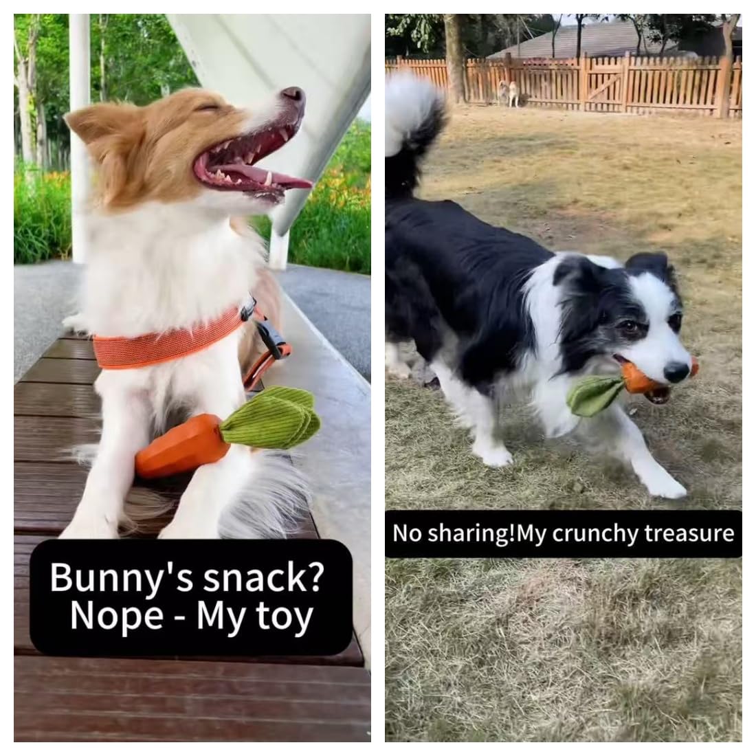 MewaJump Dog Chew Toys for Aggressive Chewers. Chosen for real quality, fits naturally into modern