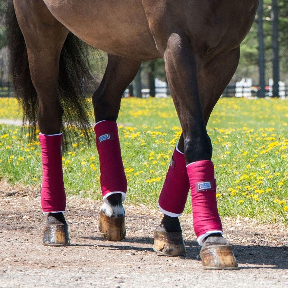 Dura-Tech Standing Wraps for Horses | Color Royal | Optimal Comfort & Support | Ideal for Post-Exercise & Trailering | Right Tension Application | Secure Closure