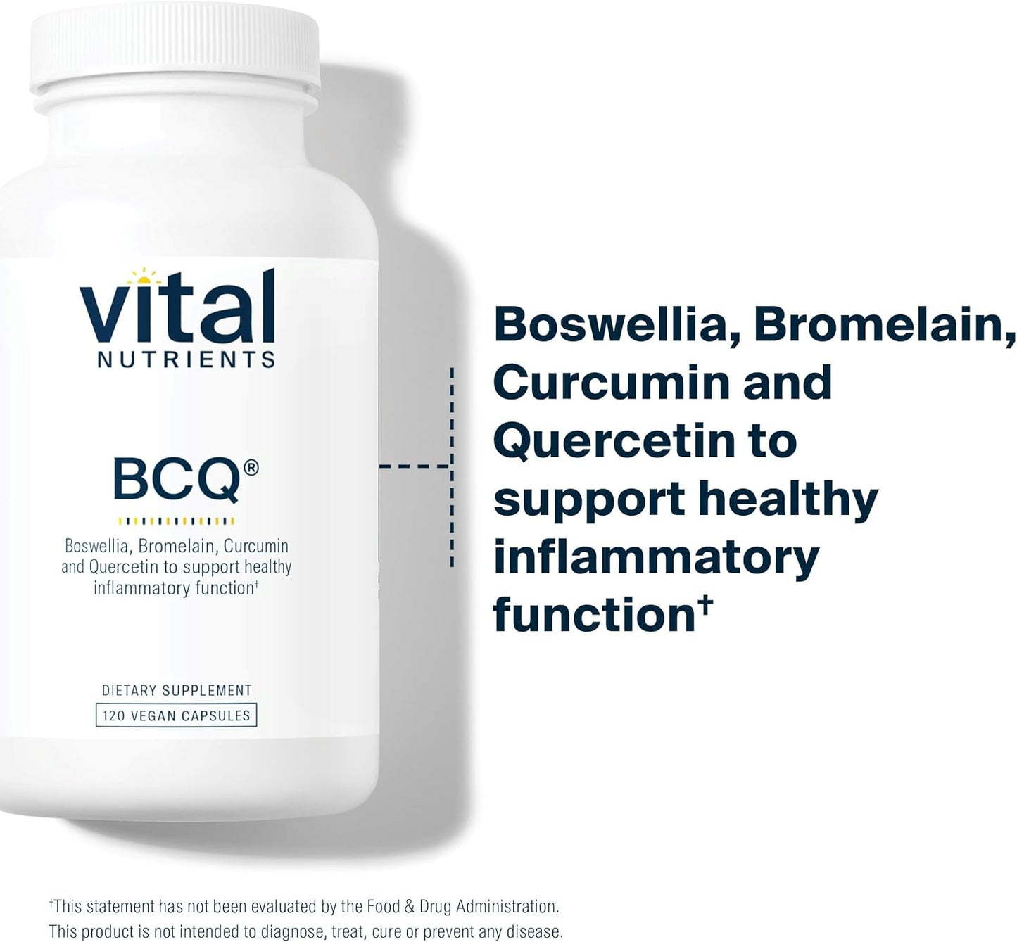 Vital Nutrients BCQ | Vegan Boswellia, Bromelain, Curcumin & Quercetin Supplement | Joint Support Supplement | Supports Sinus & Digestive Health | Gluten, Dairy, Soy Free | 120 Capsules