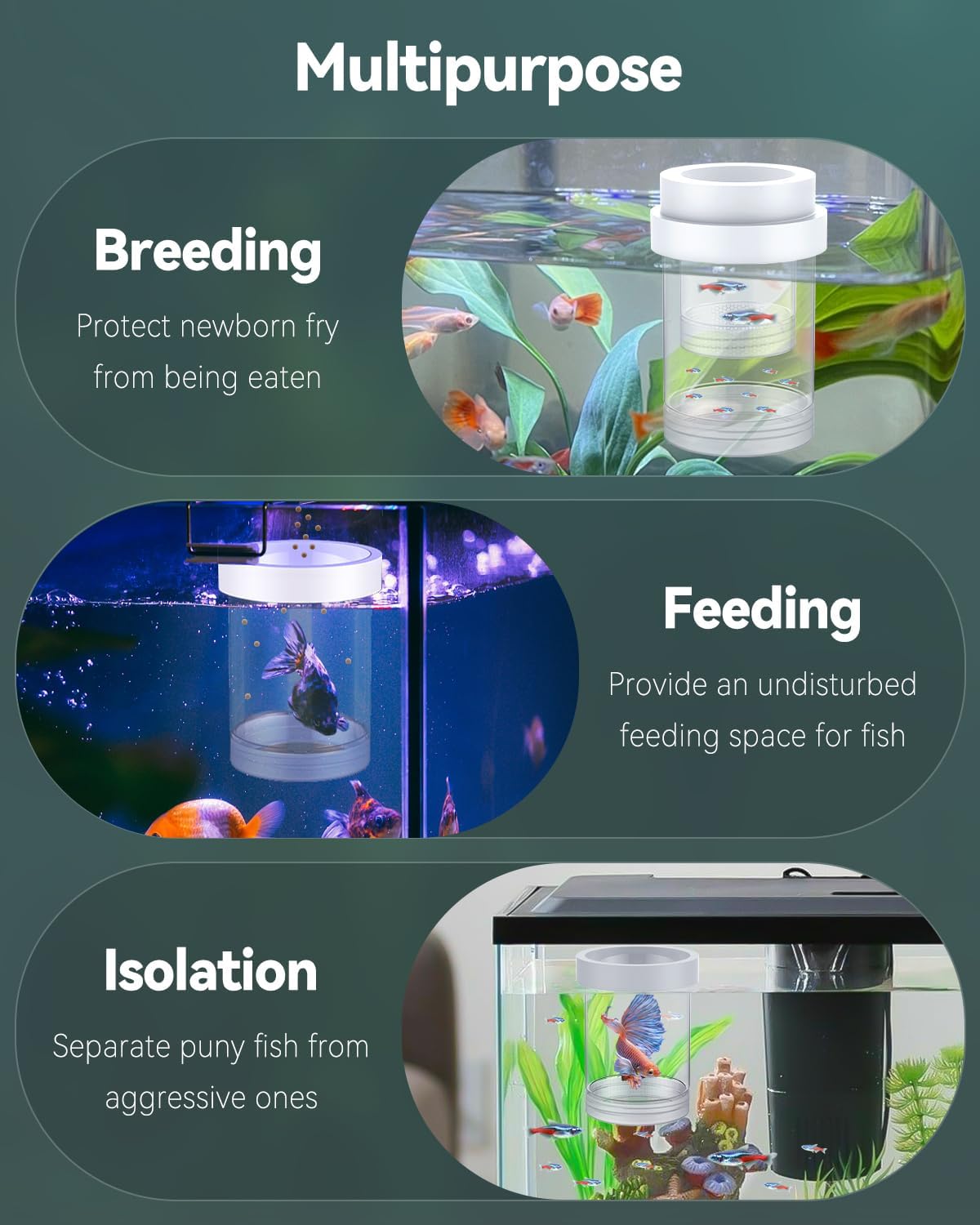 Pawfly Breeder Box for Fish Tank, Aquarium Fish Breeding Box, Floating Guppy Breeder Box, Baby Fish Separator for Aquarium, Plastic Hatchery Incubator Isolation Box for Shrimp Betta Clownfish, Medium