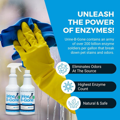 KINZUA ENVIRONMENTAL Urine B-Gone, Professional Enzyme Odor Eliminator & Pet Stain Remover, Human, Cat & Dog Urine Cleaner, Effective on Laundry, Carpets & More, Original Scent, 32oz, Pack of Two