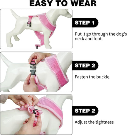 BINGPET Small Dog Harness - Breathable Mesh Puppy Cat Harnesses - No Pull Adjustable Dog Harness Dog Vest Harness for Small and Medium Dogs