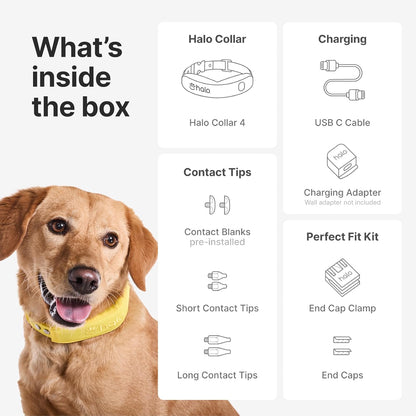 Halo Collar 4, All New GPS Wireless Dog Fence & Dog Training Collar with GPS Tracker, Subscription Required, Waterproof, One Size, Midnight