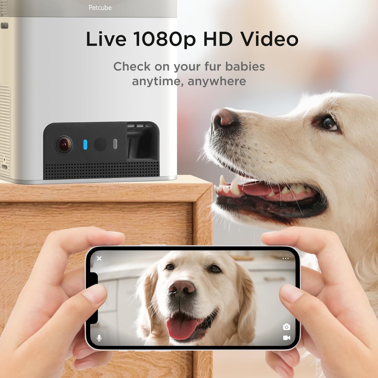 Petcube Bites 2 Lite. Chosen for real quality, fits naturally into modern pet homes.