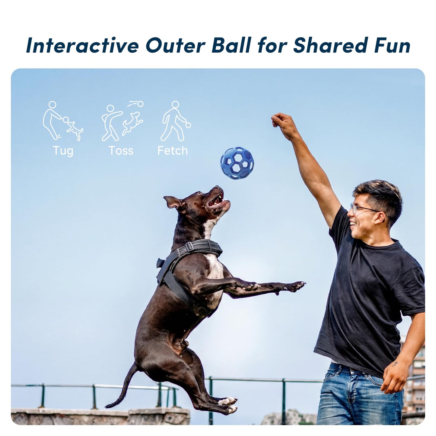 Unique Interactive Dog Toy with Ball. Chosen for real quality, fits naturally into modern pet homes.
