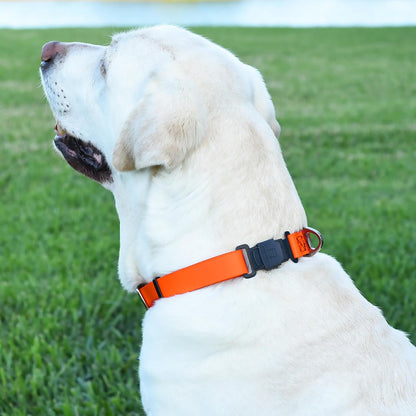 Dogline Biothane Waterproof Dog Collar with Herm Sprenger Stainless Steel Quick Release Buckle – Heavy Duty Tactical Durable Collar for Dogs – Comfortable and Safe Pet Collar, W 1" L 15-25", Orange
