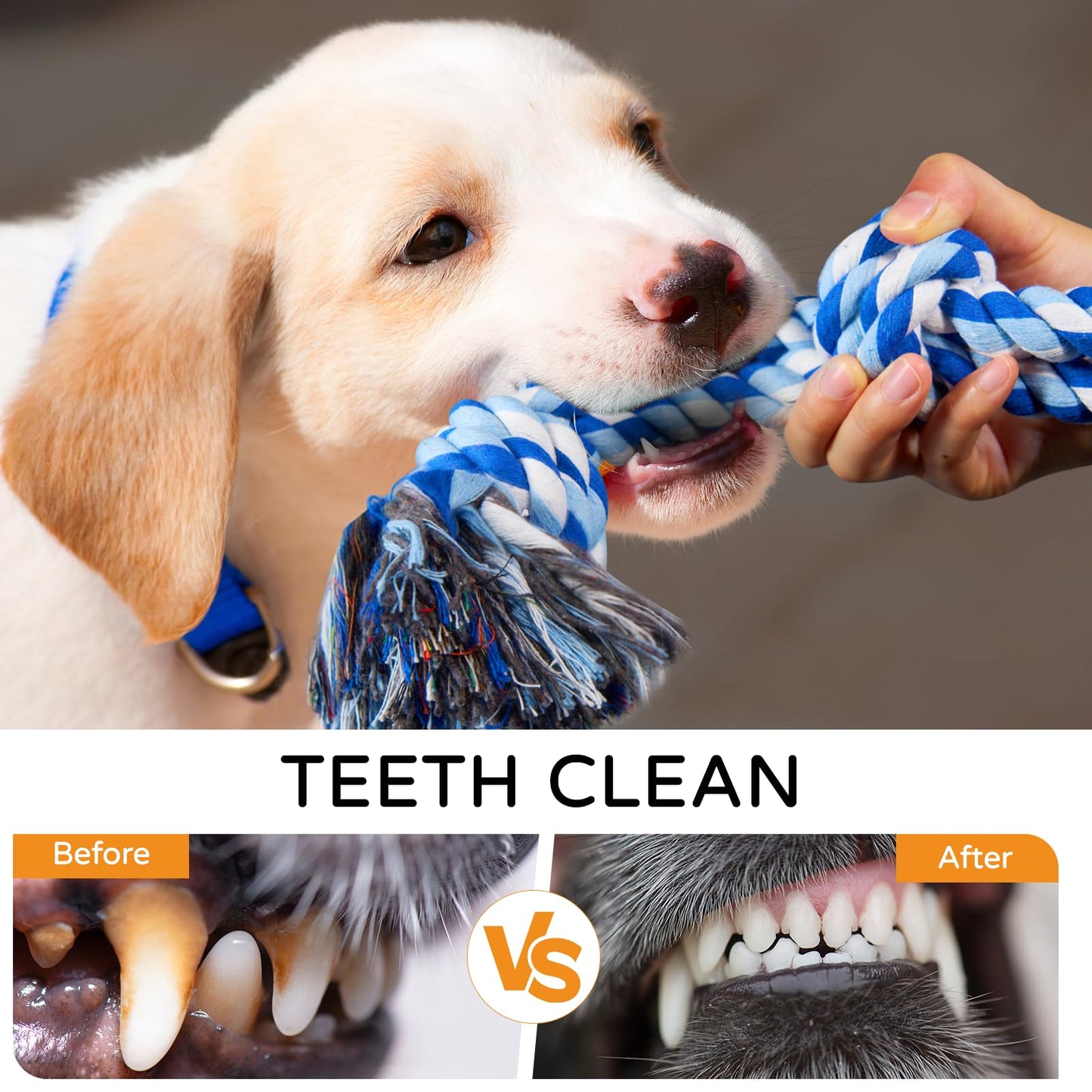 TLAZZ 2 Pack Chew Toys for Aggressive Chewers. Chosen for real quality, fits naturally into modern