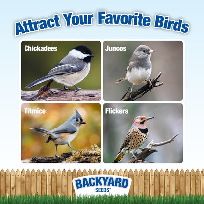 CountryMax Sunflower Chips Medium Sized Shelled No Waste Bird Seed