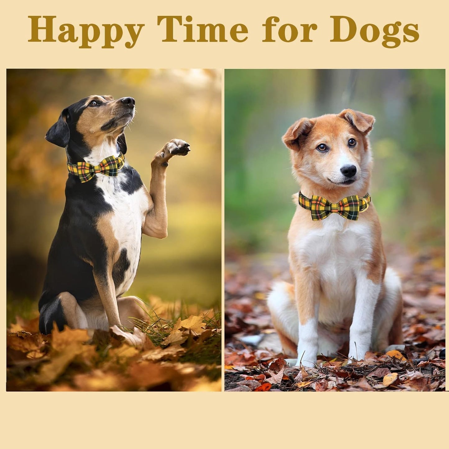 Unique Style Paws Bowtie Dog Collar - Cotton Plaid Adjustable for Small Medium Large Dogs - XL