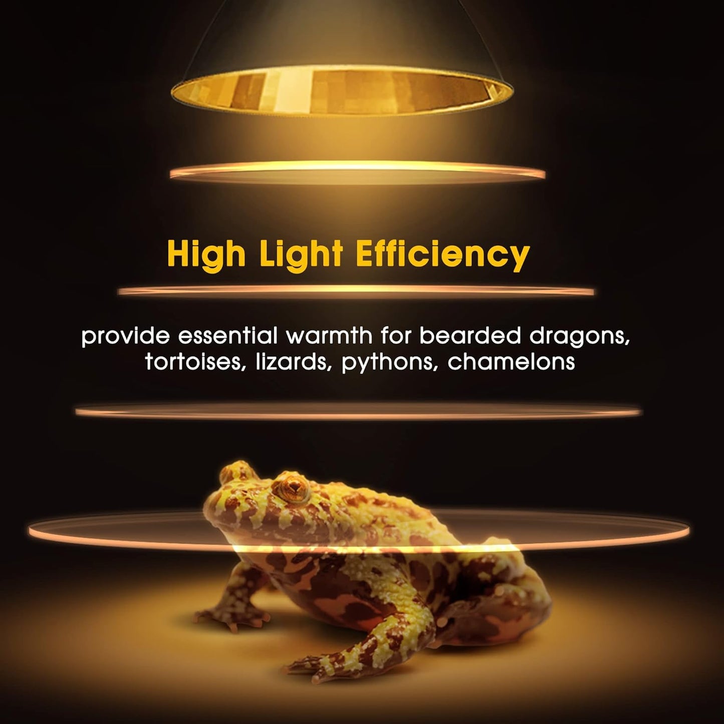 Briignite Reptile Heat Bulb 2 Pack, 50W UVA UVB Reptile Light Bulbs, Dimmable Heat Lamp Bulbs, Basking Light Bulb for Turtle, Beard Dragon Gecko Lizard Amphibians
