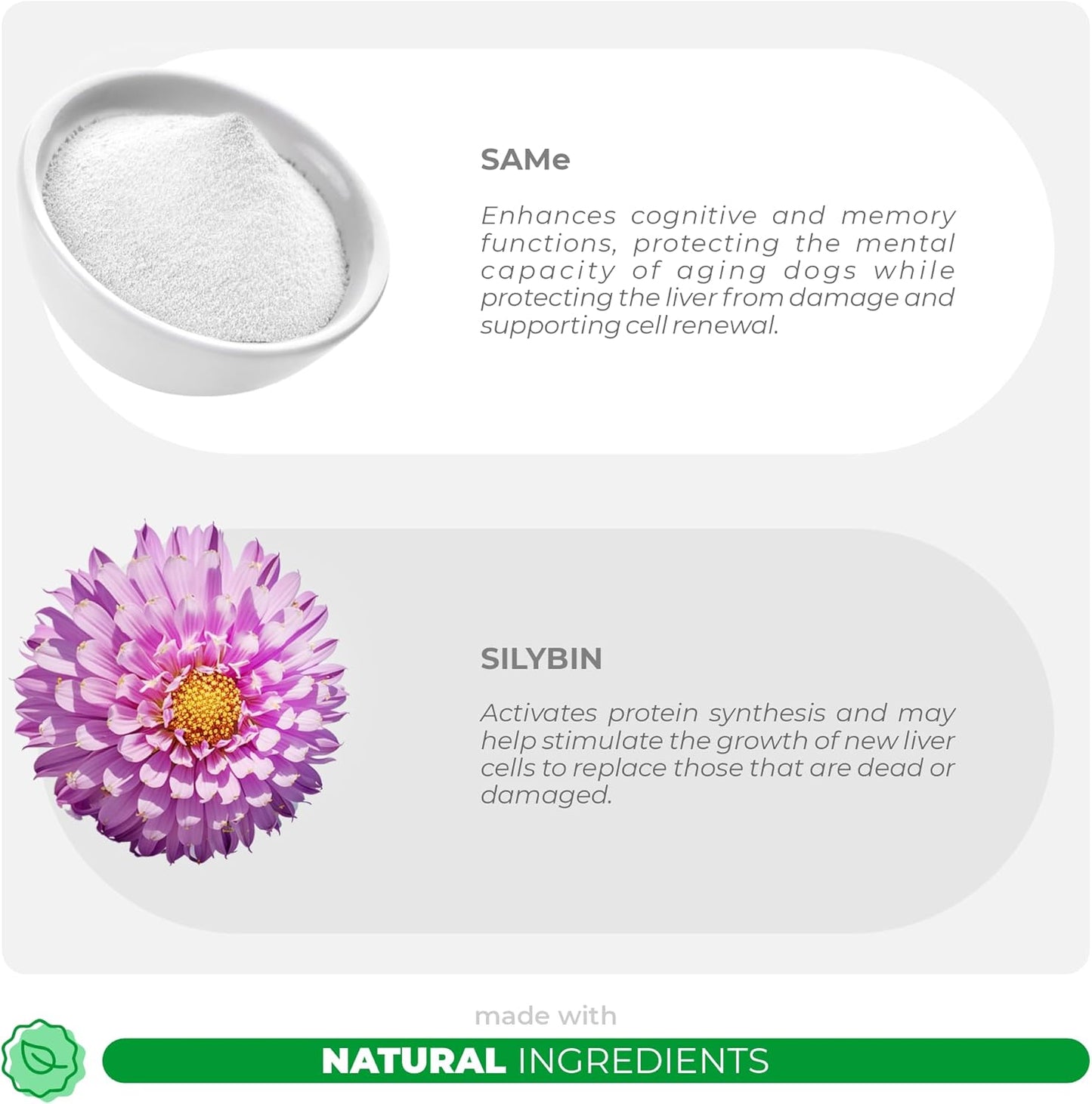 Same and Silybin for Cats - S-Adenosyl-L-Methionine - 120g Powder - Liver Supplement - Promotes Cognitive and Liver Support