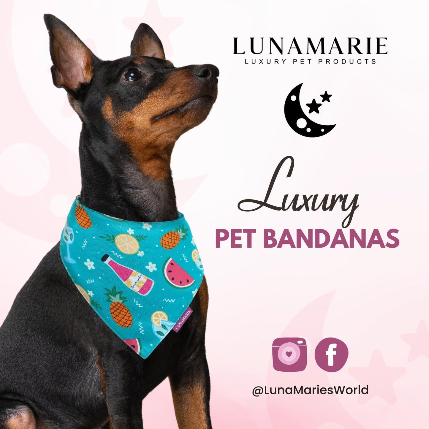 LunaMarie - Luxury Pet Birthday Bandanas -Premium & Silky Poly Fabric | 100% Handmade | Custom Shape Dual Layered (Sippin' Poolside, X-Small)