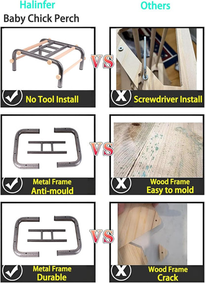 Metal Ladder Large Bird Training Perch for Fun and Exercising, No Tool Quick Install Heavy-Duty Rustproof Table Training Perch with Wooden Bars for African Grey Macaw Amazon Parrot