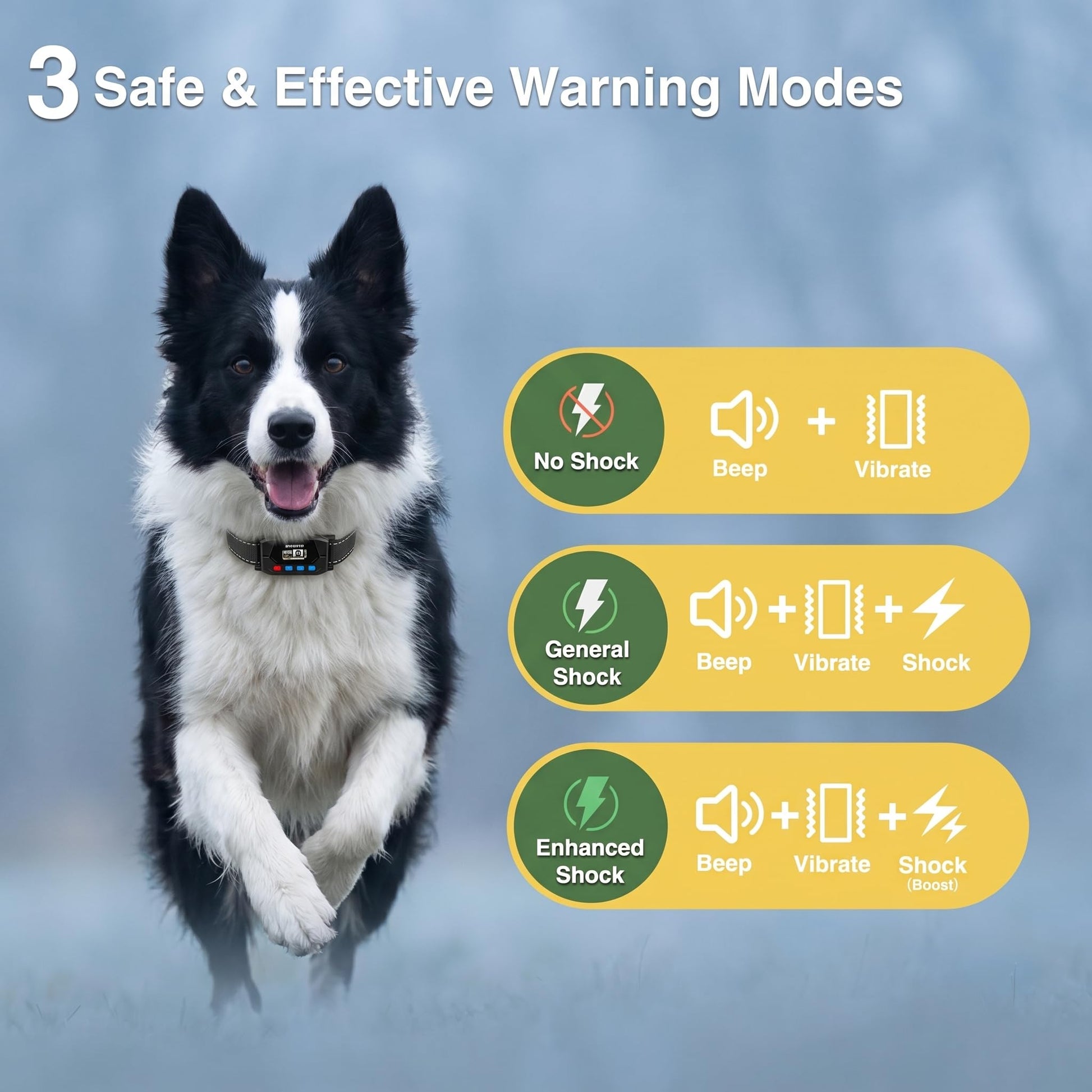 PATPET GPS Wireless Dog Fence | No. Chosen for real quality, fits naturally into modern pet homes.