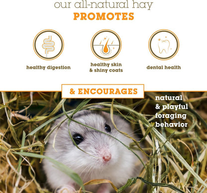 Orchard Grass Hay for Guinea Pigs, Rabbits, Hamsters & Small Pets by Bunny Honey - Fresh, High-Fiber, Supports Digestive Health & Dental Care, Non-Blended & Fresh Cut