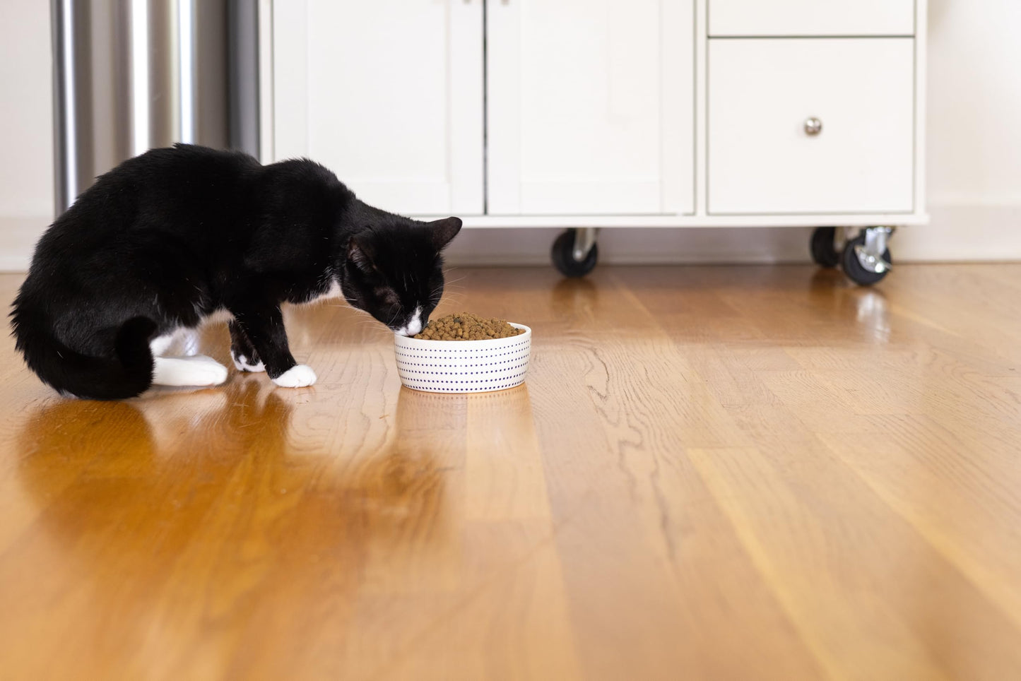 Pearhead Ceramic Cat Bowl. Chosen for real quality, fits naturally into modern pet homes.